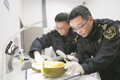 ​马来西亚鲜榴莲不到48小时摆上成都市民餐桌