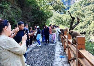 ​山西：在蟒河生态旅游区，游客寄情山水，尽情游玩
