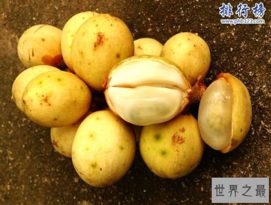 ​世界十大罕见水果:神秘果属国宝(周恩来总理引进)