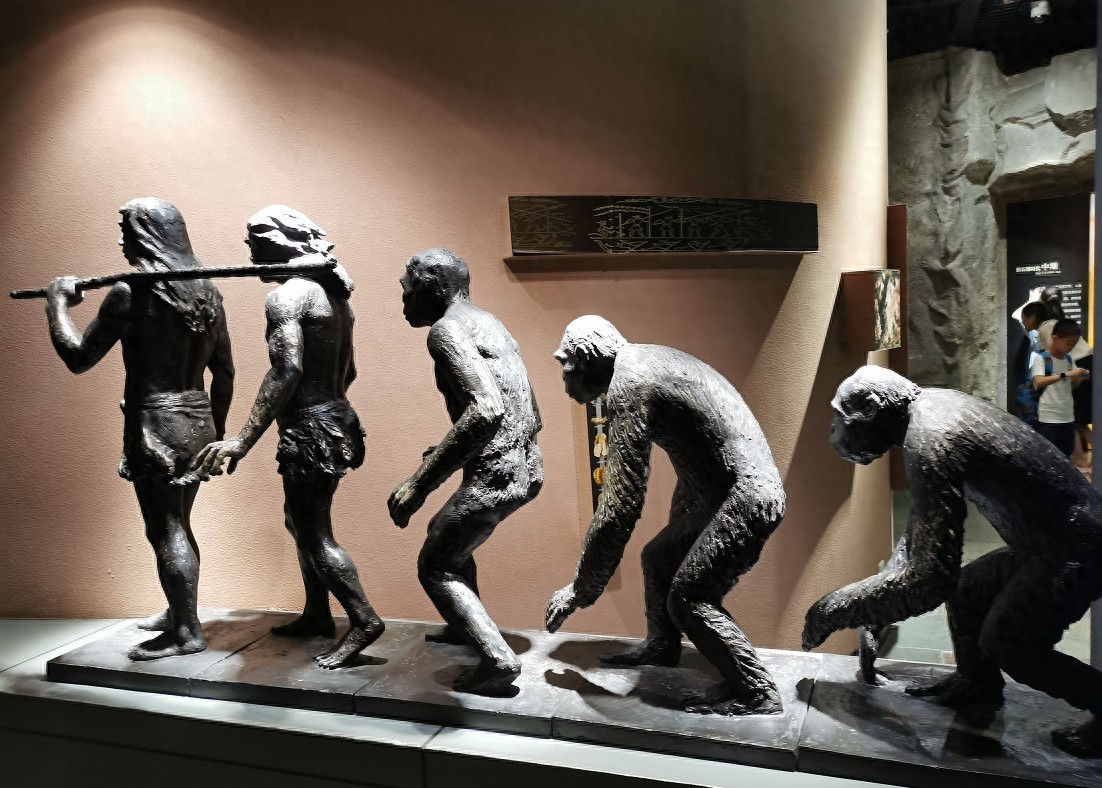 重庆小朋友最爱去的展厅,重庆科技馆