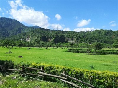​台湾阿里山：气候凉爽、环境优美的山地旅游胜地，值得一去