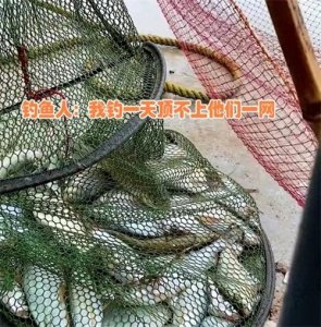 ​岳阳大雨后湖里红尾鱼泛滥，老乡一天捕几百斤，钓友：怎么没人管