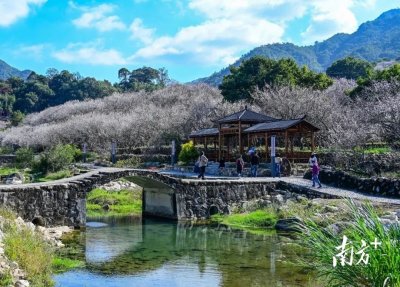 ​闻香寻梅正当时，这里有一份陆河赏梅攻略