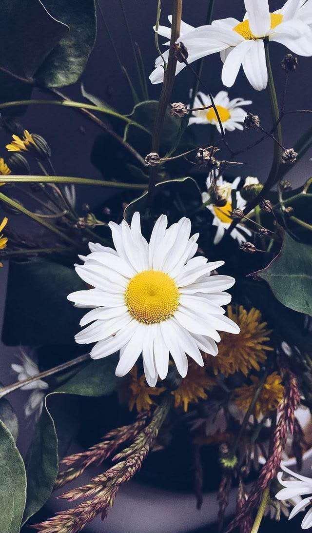 小清新手机壁纸！唯美锁屏背景待机画面！喜欢请关注小编！