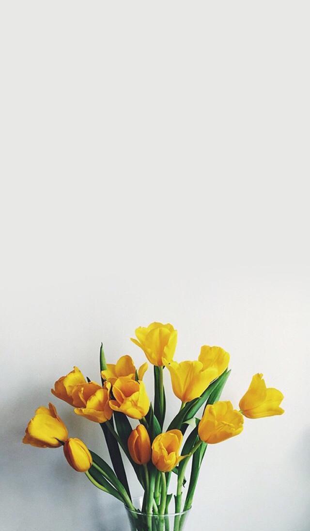 小清新手机壁纸！唯美锁屏背景待机画面！喜欢请关注小编！