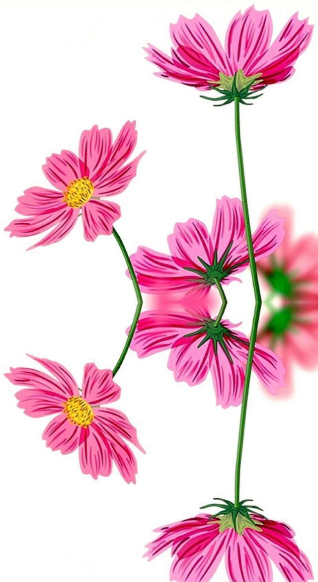 小清新手机壁纸！唯美锁屏背景待机画面！喜欢请关注小编！