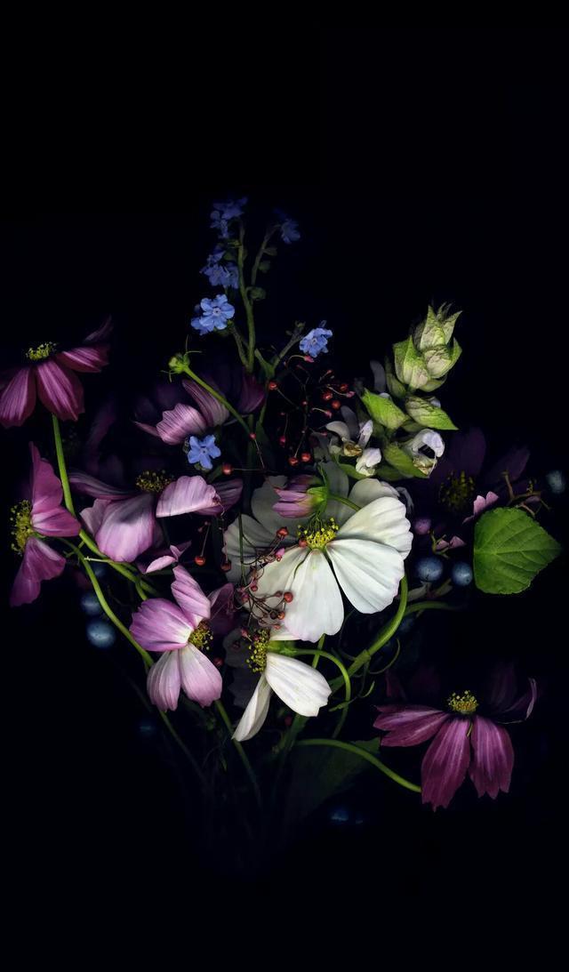 小清新手机壁纸！唯美锁屏背景待机画面！喜欢请关注小编！