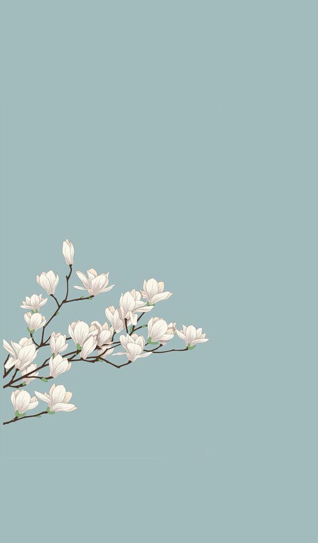 小清新手机壁纸！唯美锁屏背景待机画面！喜欢请关注小编！