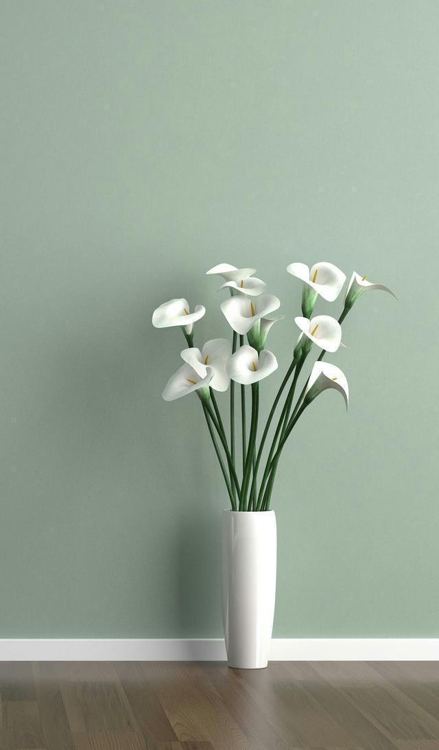 小清新手机壁纸！唯美锁屏背景待机画面！喜欢请关注小编！