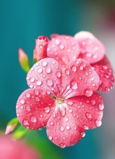 小清新手机壁纸！唯美锁屏背景待机画面！喜欢请关注小编！