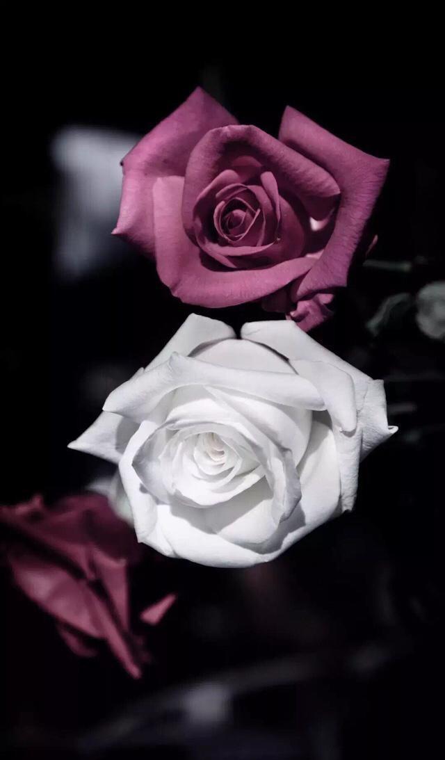 小清新手机壁纸！唯美锁屏背景待机画面！喜欢请关注小编！