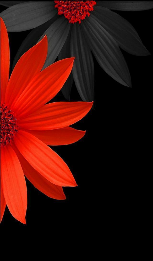 小清新手机壁纸！唯美锁屏背景待机画面！喜欢请关注小编！