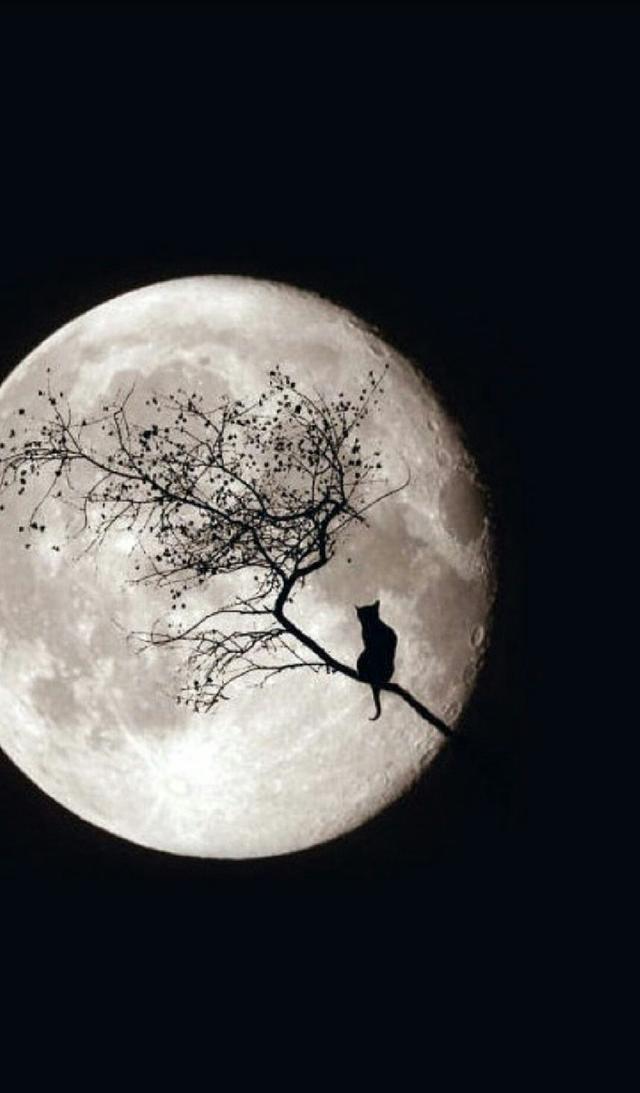 小清新手机壁纸！唯美锁屏背景待机画面！喜欢请关注小编！