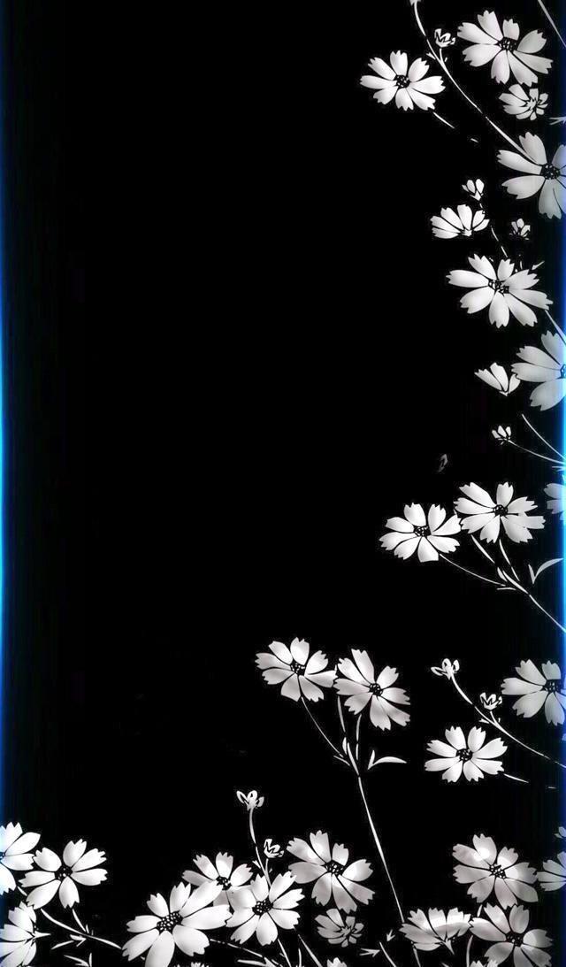 小清新手机壁纸！唯美锁屏背景待机画面！喜欢请关注小编！