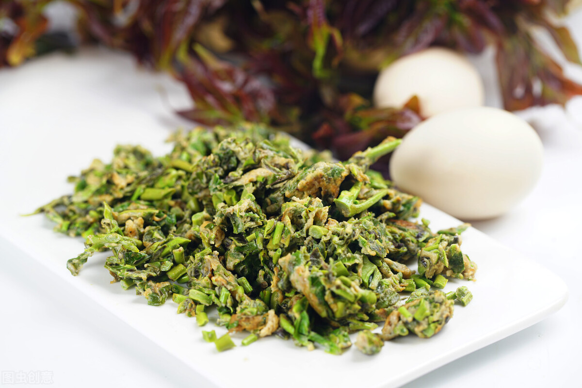 春天必吃的六种野菜（春天可以吃的十大野菜排名）