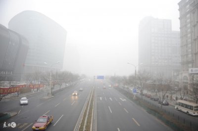 ​新闻排行榜：做假账将不得从事会计工作；65万不合格疫苗入三省