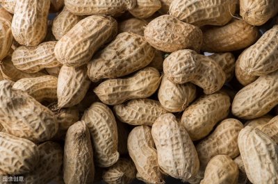 ​花生青枯病的发病规律及综合防治