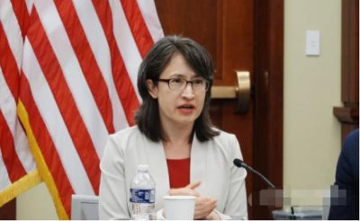 ​起底“台独”萧美琴：像是“美国利益的代言人”