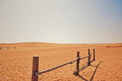 ​阿皮读古诗：碛中作(唐：岑参)