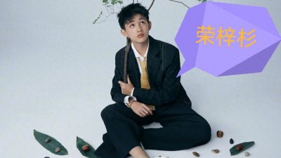 ​荣梓杉，2006年出生四川省绵阳市、中国内地影视男演员，平面模特