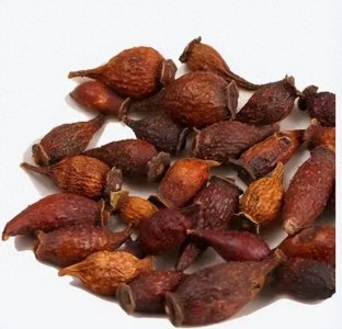 ​每日一味中药——金樱子