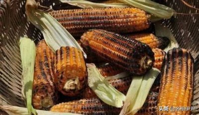 ​成语故事——民以食为天