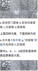 ​罕见8种真假犀角雕放大100倍图！真品太特别了？