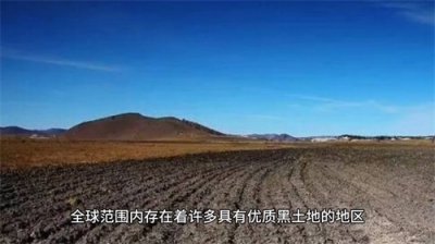 ​全球八大黑土地