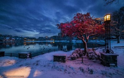 ​“欧洲文化中心”斯塔万格：一座可抵御寒冷的温暖小城