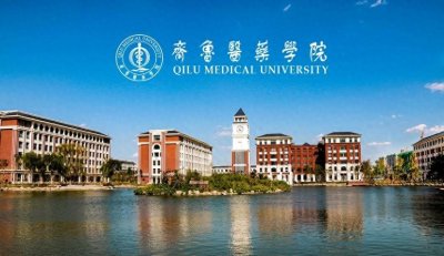 ​河南新高考必看：齐鲁医药学院录取分新高考志愿规划与就业前景