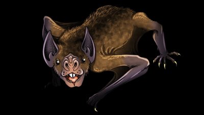 ​50厘米巨型吸血蝙蝠，巨型哺乳动物也是它的菜谱，还好已经灭绝了