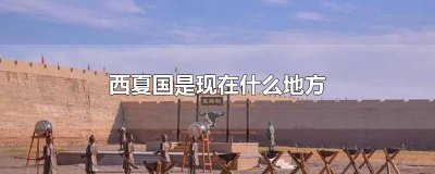 ​西夏国是现在什么地方