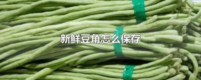 ​新鲜豆角怎么保存到下一页 新鲜豆角怎么保存不老