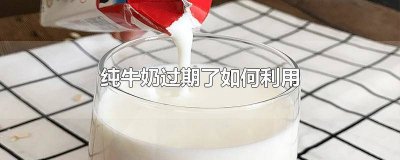 ​纯牛奶要过期了怎么办 过期的纯牛奶如何处理