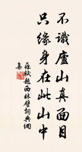 ​只缘身在此山中的上一句（题西林壁原文及译文）