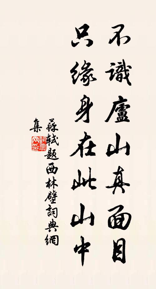 只缘身在此山中的上一句(题西林壁原文及译文)