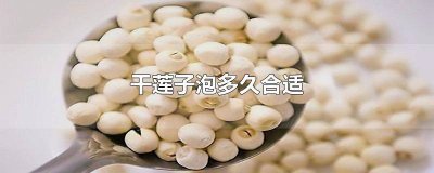 ​莲子泡多久好 干莲子泡多久最好