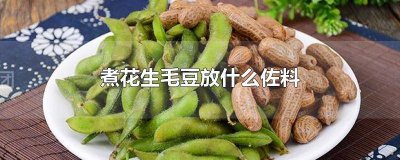 ​花生和毛豆的做法 花生毛豆放什么
