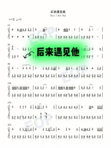 ​后来遇见他是什么歌（看看后来遇见他是什么歌吧）