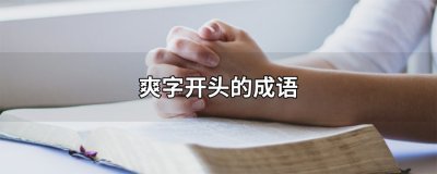 ​爽字开头的成语