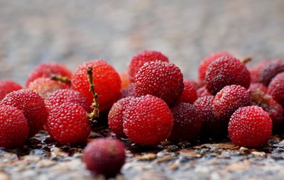 ​杨梅的营养价值及功效 杨梅有什么养生作用