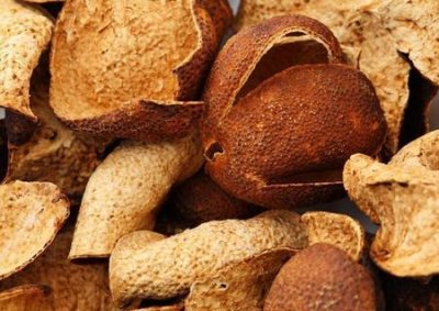 ​桔子皮的作用有哪些(桔子皮和橘子皮功效一样吗)