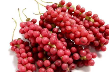 五味子是热性还是凉性 味酸性温