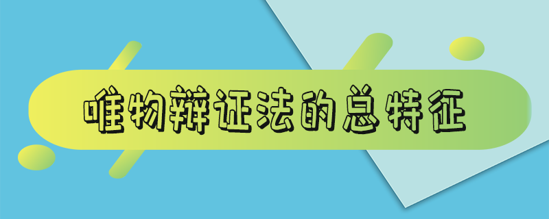 唯物辩证法的总特征 另一个是