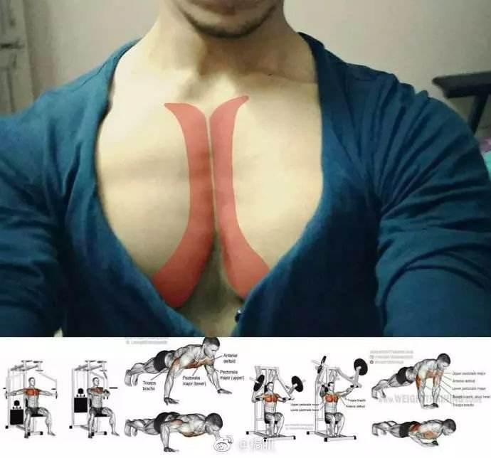 胸中缝怎么练？最有效的动作介绍