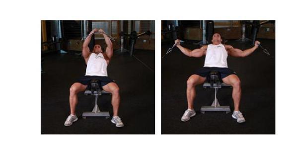 胸中缝怎么练？最有效的动作介绍