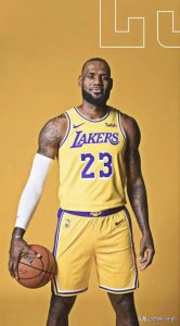 ​詹姆斯职业生涯数据（截止到2024年1月1日10点30分）