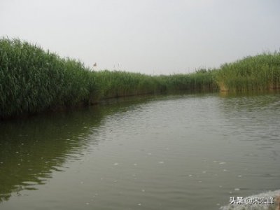 ​泗州，一个令人神往的地方