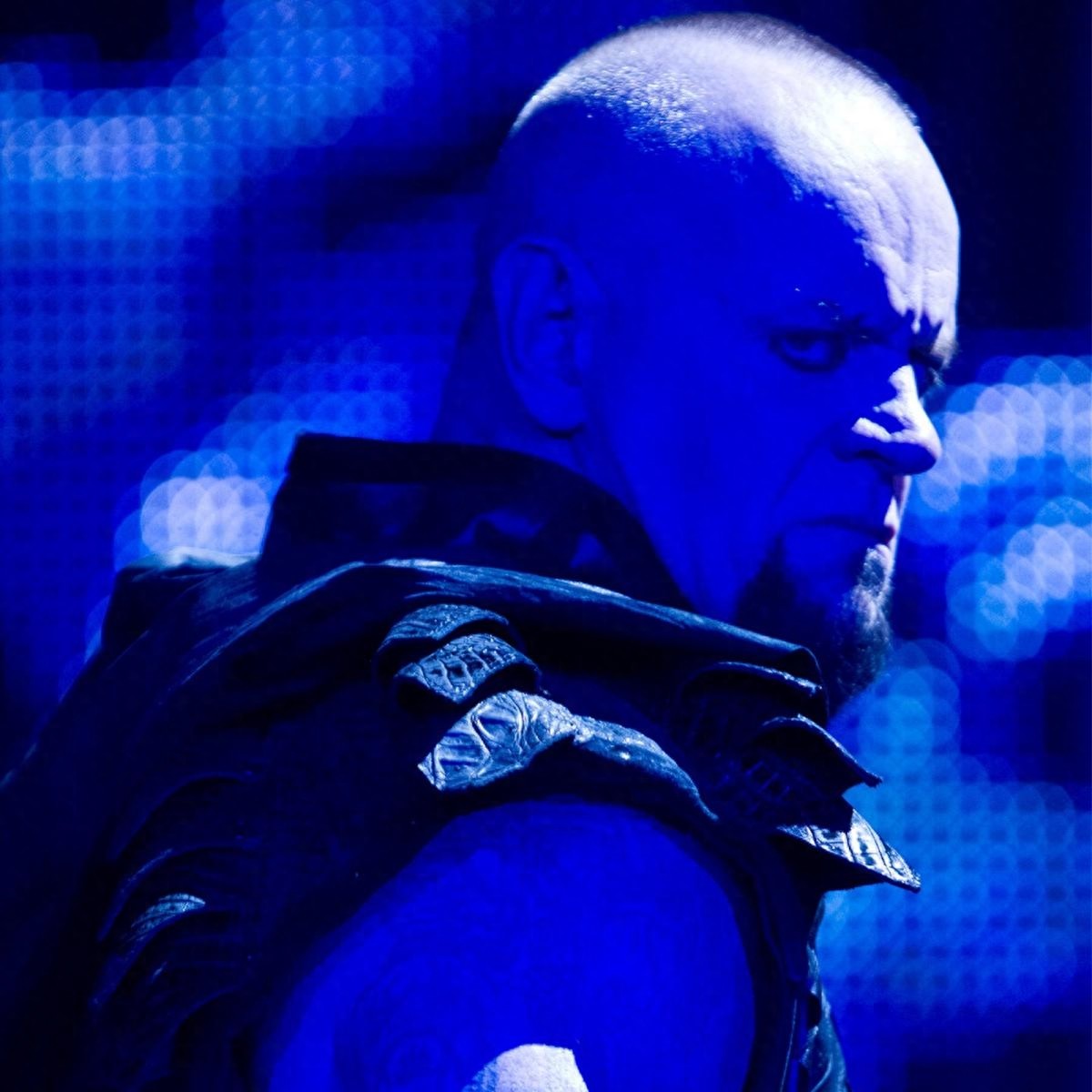 送葬者29年WWE职业生涯庆 十张图带你漫步记忆长廊 哪张戳中泪点