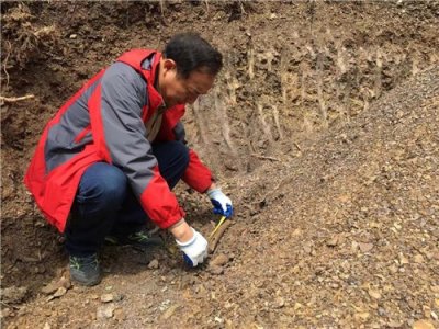 ​安徽黄山歙县：许村镇箬岭村发现疑似红军遗骸